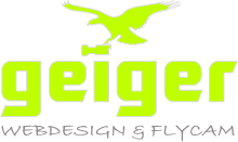 logo geiger